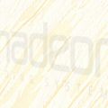Ray 6603.jpg