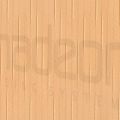 Sandra 8209.jpg