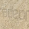 Aneta 6503.jpg
