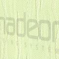 Vesna 6912.jpg